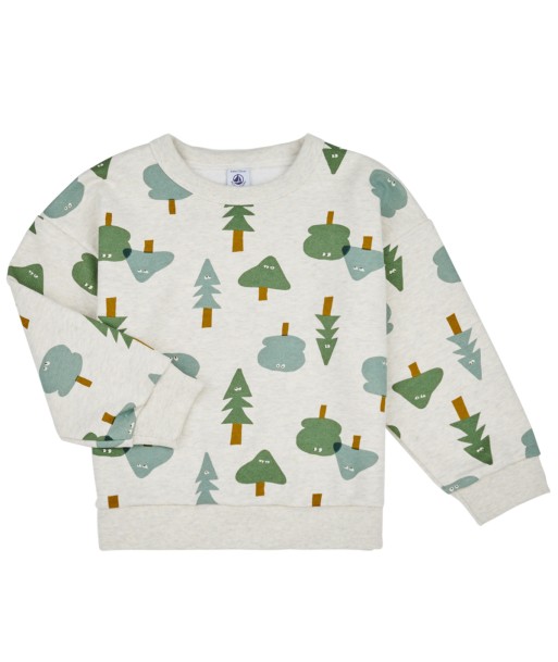 Sweat-shirt enfant garcons Petit Bateau TREMPLY Gris