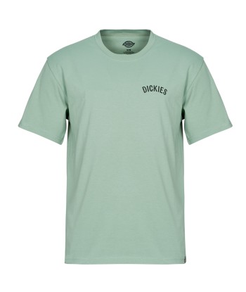 T-shirt hommes Dickies DICKIES SNAKE SS TEE Vert