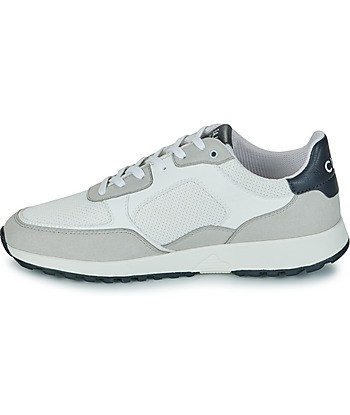 Baskets basses hommes Clae JOSHUA Blanc