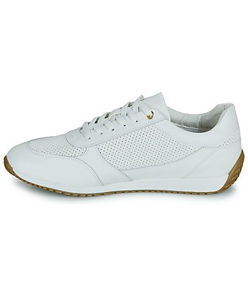 Baskets basses femmes Geox D36N0A05485C1000 Blanc