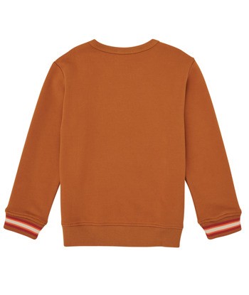 Sweat-shirt enfant garcons Catimini CR15024-63-J Marron