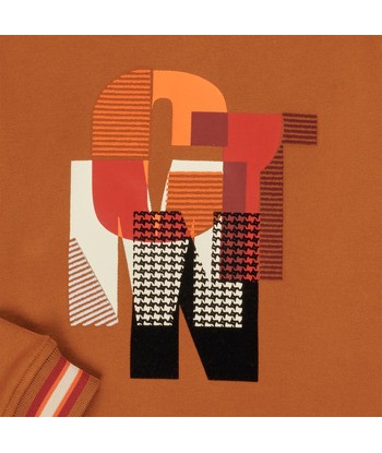 Sweat-shirt enfant garcons Catimini CR15024-63-J Marron