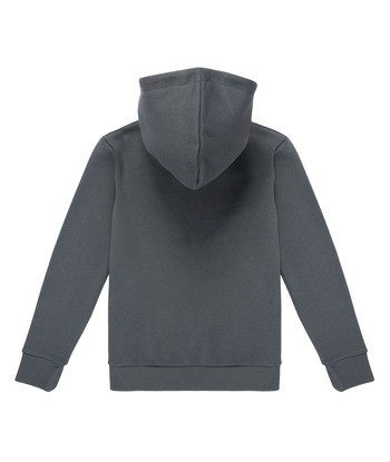 Sweat-shirt enfant garcons Jack & Jones JJELOGO SWEAT HOOD Gris