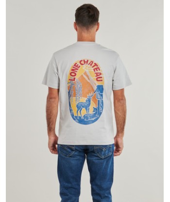 T-shirt hommes Replay - Gris