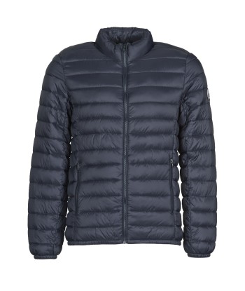 Doudounes hommes Teddy Smith BLIGHT Bleu