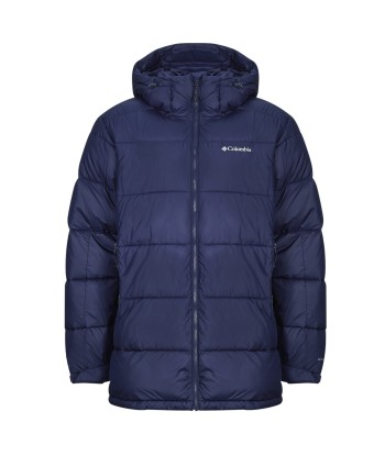 Doudounes hommes Columbia PIKE LAKE PARKA Bleu