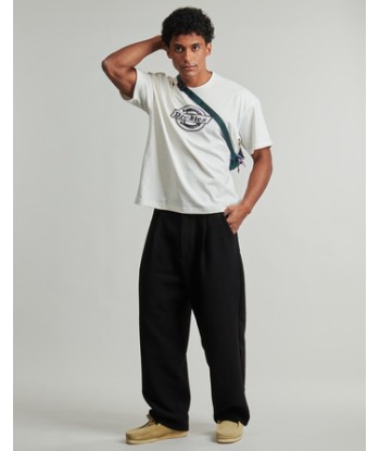 T-shirt hommes Dickies FORTH SHAW TEE SS EGRET Blanc