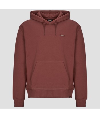 Sweat-shirt hommes Dickies CLANCY BB HOODIE ANDORRA Bordeaux