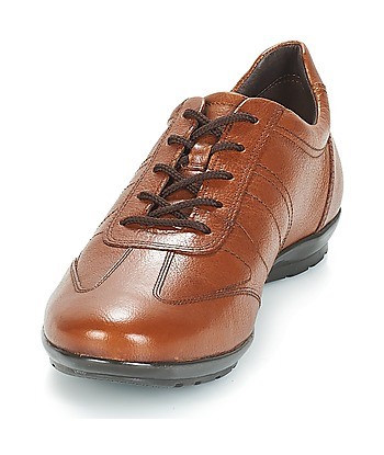 Baskets basses hommes Geox UOMO SYMBOL Marron