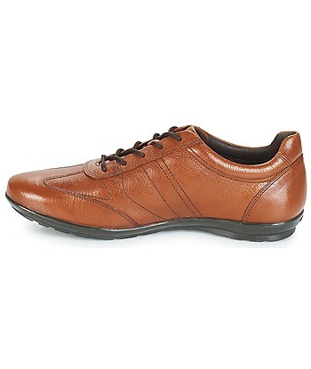Baskets basses hommes Geox UOMO SYMBOL Marron