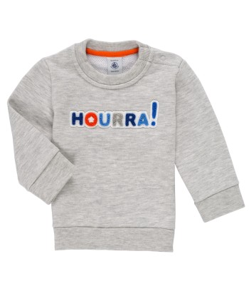 Sweat-shirt enfant garcons Petit Bateau TERRI Gris