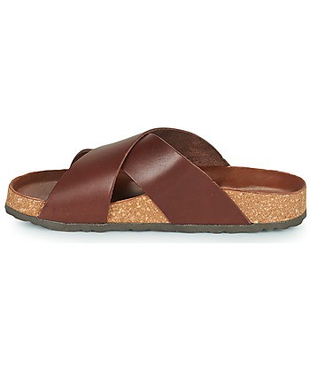 Mules femmes Dream in Green AGAVE Marron