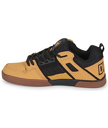 Baskets basses hommes DVS COMANCHE 2.0 Marron