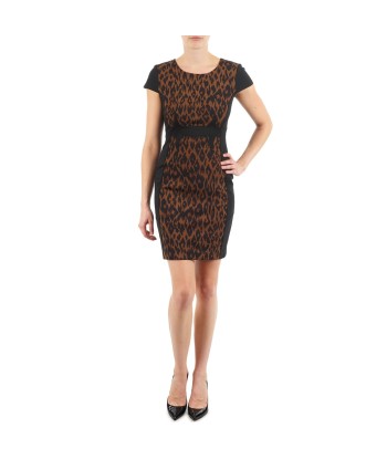 Robe courte femmes Manoukian EMMA Marron