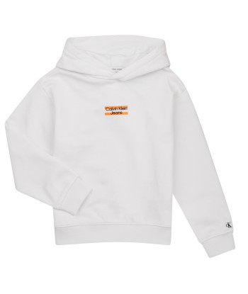 Sweat-shirt enfant garcons Calvin Klein Jeans MINI BLOCK LOGO HOODIE B