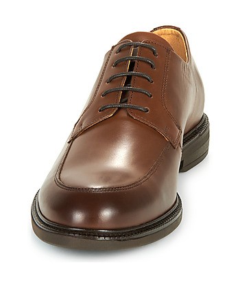 Derbies hommes Carlington LOUIS Marron