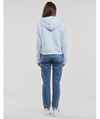 Sweat-shirt femmes Tommy Hilfiger REG FROSTED CORP LOGO HOODIE Bleu