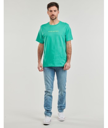 T-shirt hommes Element MARCHING ANTS SS Vert