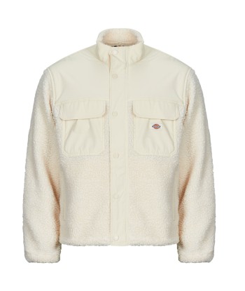 Veste hommes Dickies PINESDALE JACKET Beige