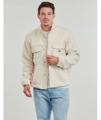 Veste hommes Dickies PINESDALE JACKET Beige