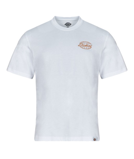 T-shirt hommes Dickies DICKIES GLOBE TEE SS Blanc