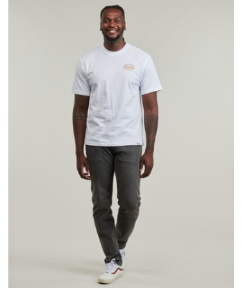 T-shirt hommes Dickies DICKIES GLOBE TEE SS Blanc