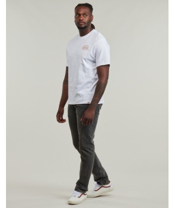 T-shirt hommes Dickies DICKIES GLOBE TEE SS Blanc