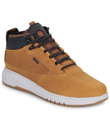Boots hommes Geox U AERANTIS 4X4 B ABX Marron